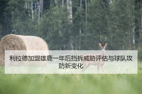 利拉德加盟雄鹿一年后挡拆威胁评估与球队攻防新变化