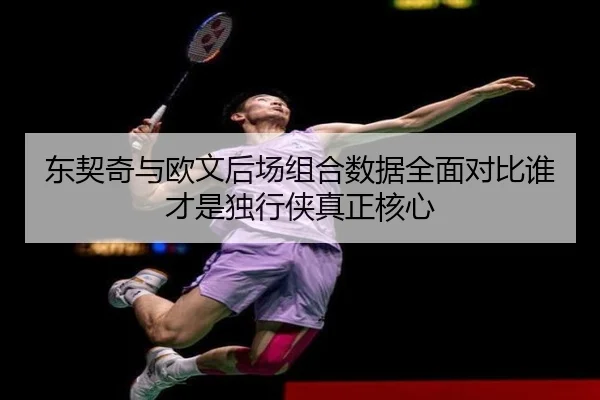 东契奇与欧文后场组合数据全面对比谁才是独行侠真正核心
